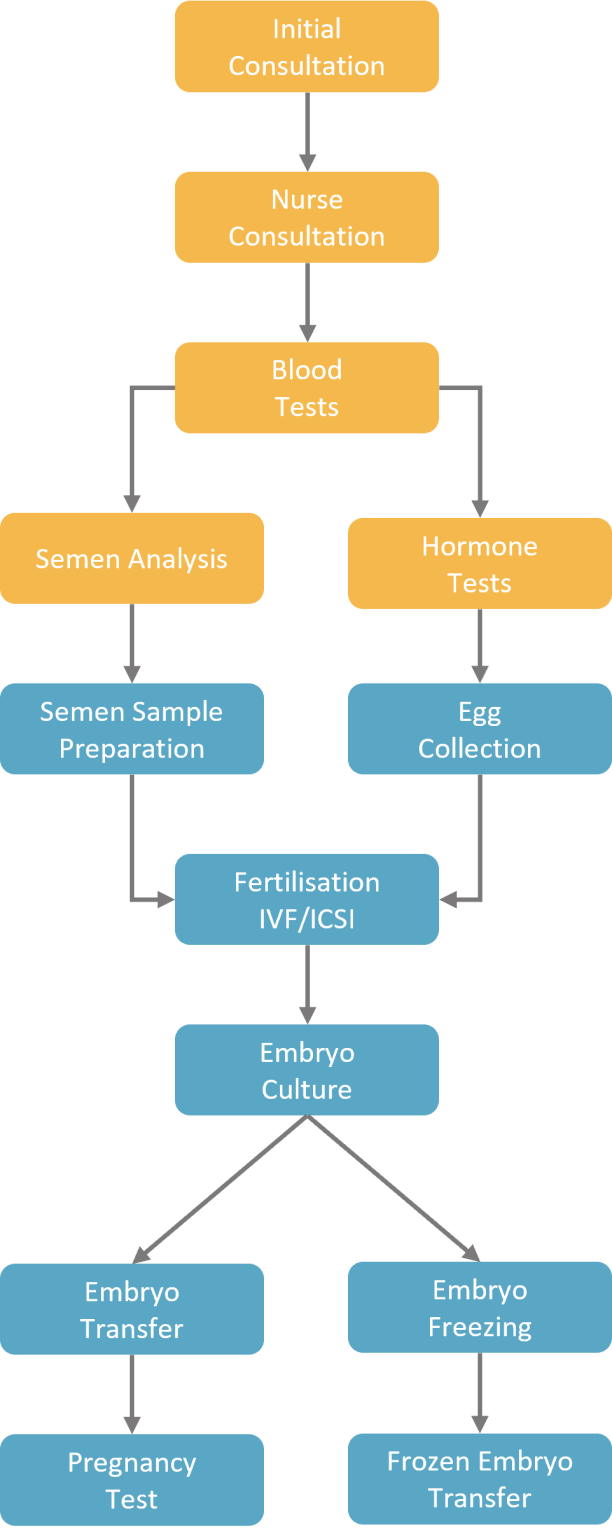 In Vitro Fertilisation Clinic | IVF Treatment & Process Explained